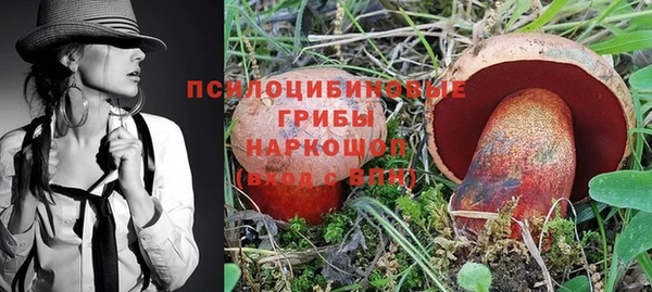 дживик Алексин
