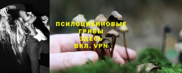 дживик Алексин