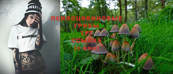 первитин Абаза