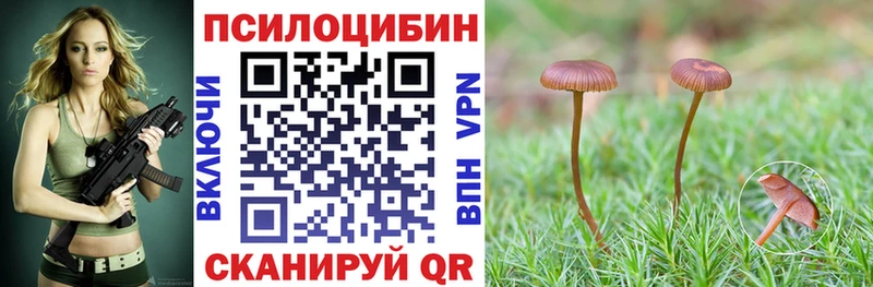 блэк спрут вход Королёв Псилоцибиновые грибы прущие грибы